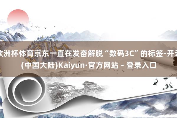 欧洲杯体育京东一直在发奋解脱“数码3C”的标签-开云(中国大陆)Kaiyun·官方网站 - 登录入口